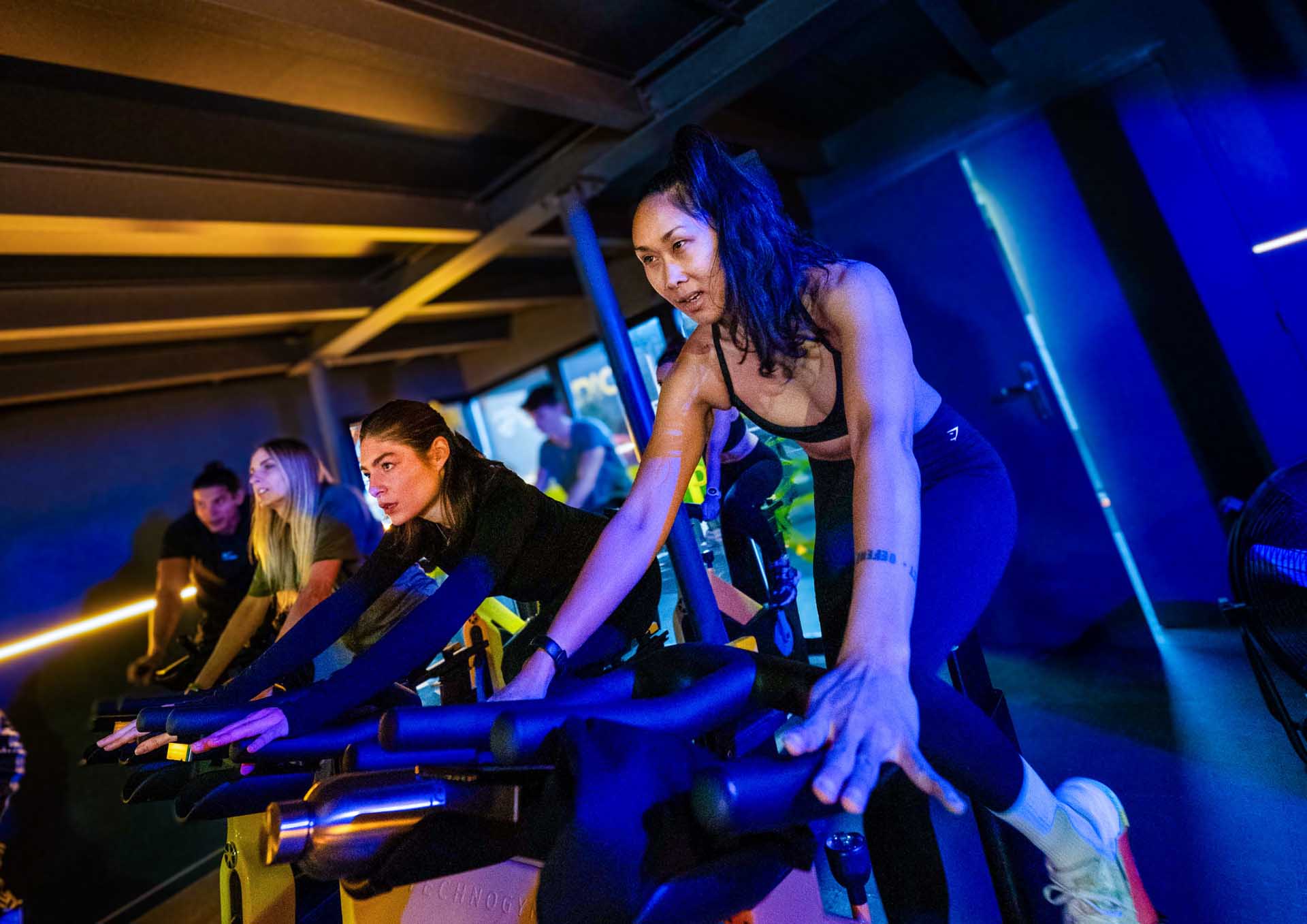 My Fitness Studio